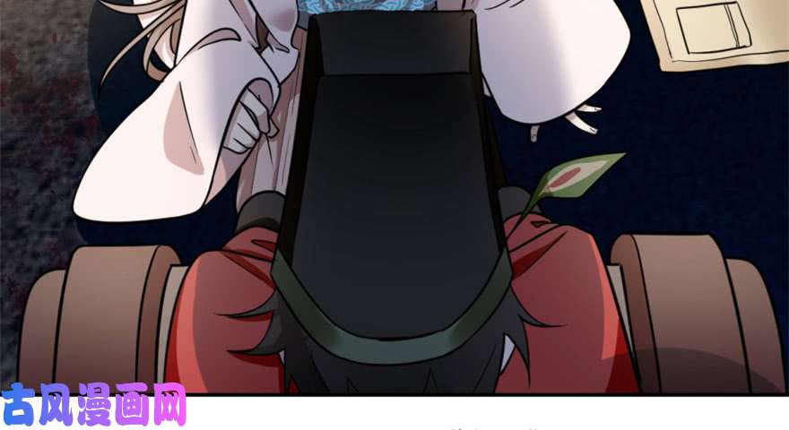 毒步天下：特工神医小兽妃14