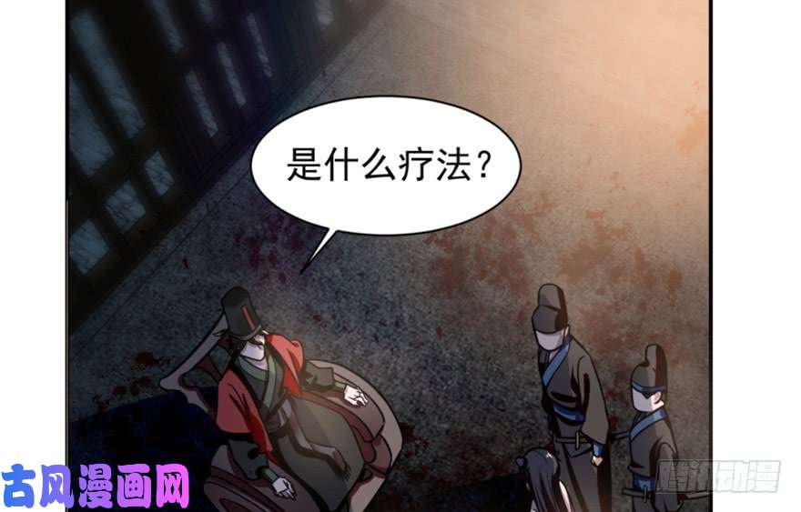 毒步天下：特工神医小兽妃14