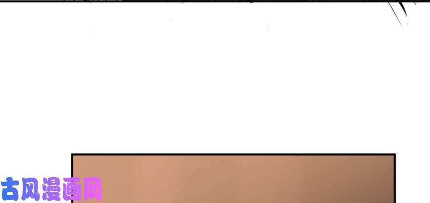 毒步天下：特工神医小兽妃14