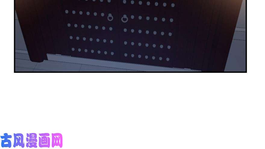 毒步天下：特工神医小兽妃14