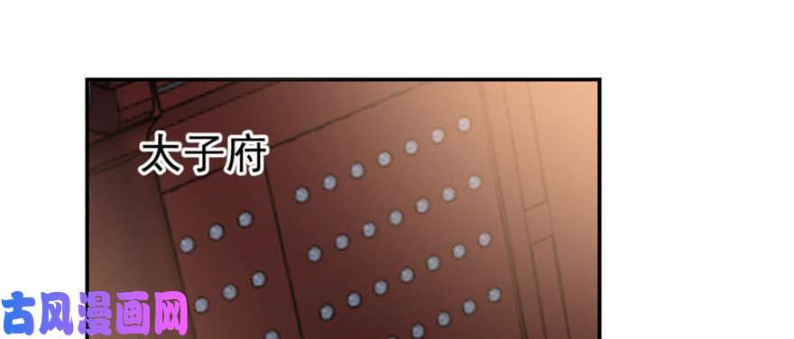 毒步天下：特工神医小兽妃14