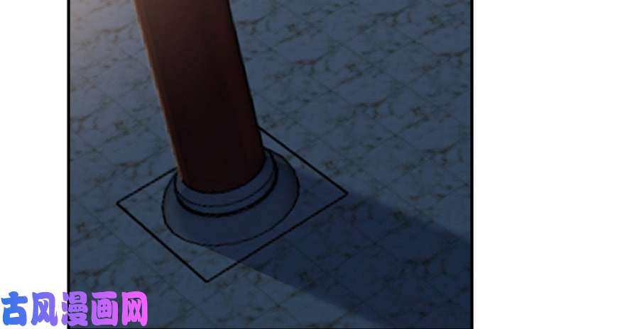 毒步天下：特工神医小兽妃14