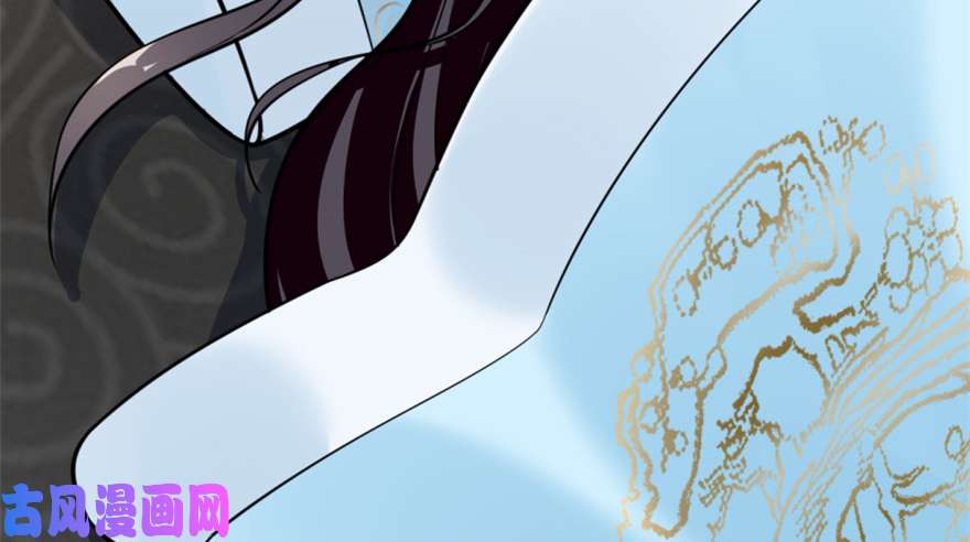 毒步天下：特工神医小兽妃14