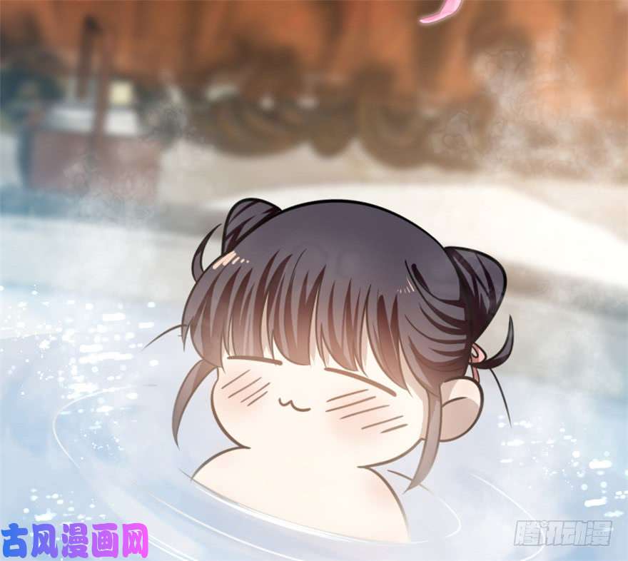 毒步天下：特工神医小兽妃15