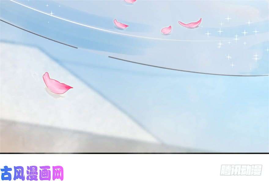 毒步天下：特工神医小兽妃15