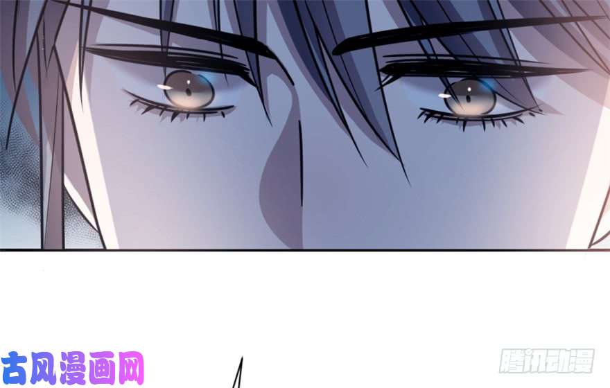 毒步天下：特工神医小兽妃15