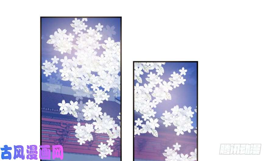 毒步天下：特工神医小兽妃15