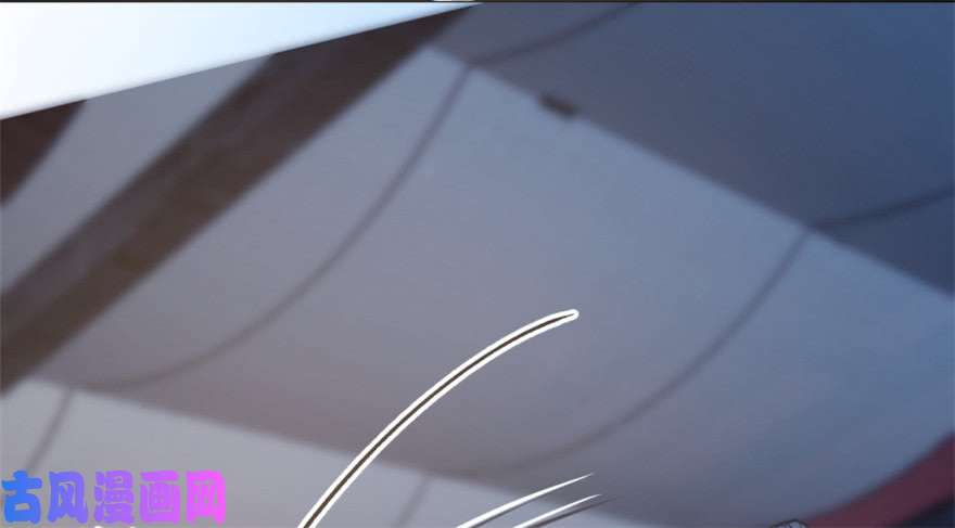 毒步天下：特工神医小兽妃15