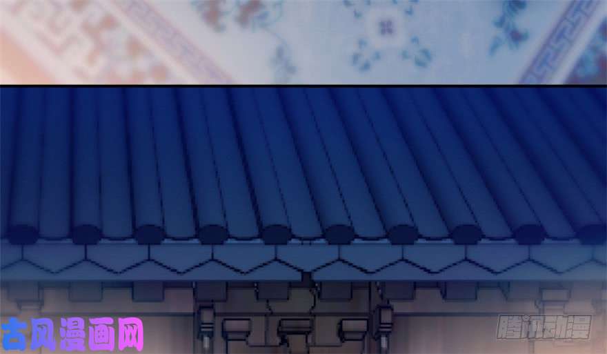 毒步天下：特工神医小兽妃15