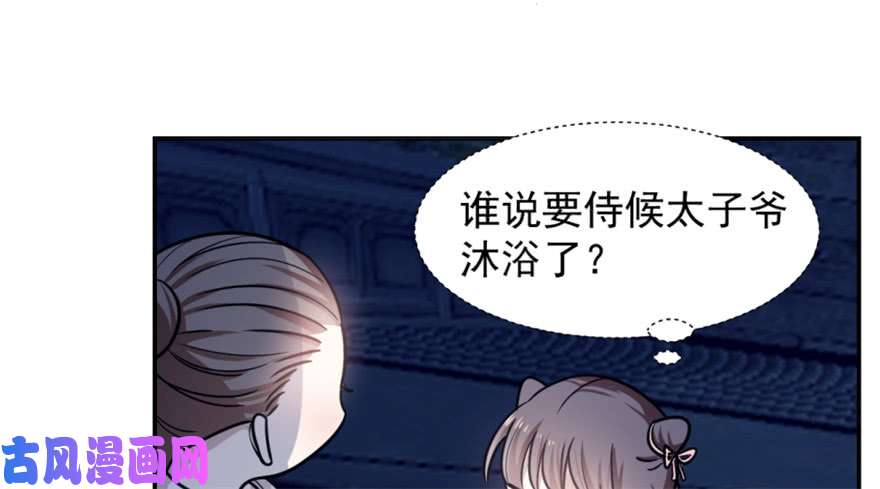 毒步天下：特工神医小兽妃15