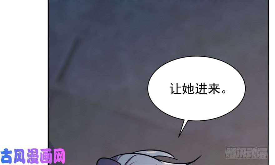 毒步天下：特工神医小兽妃15