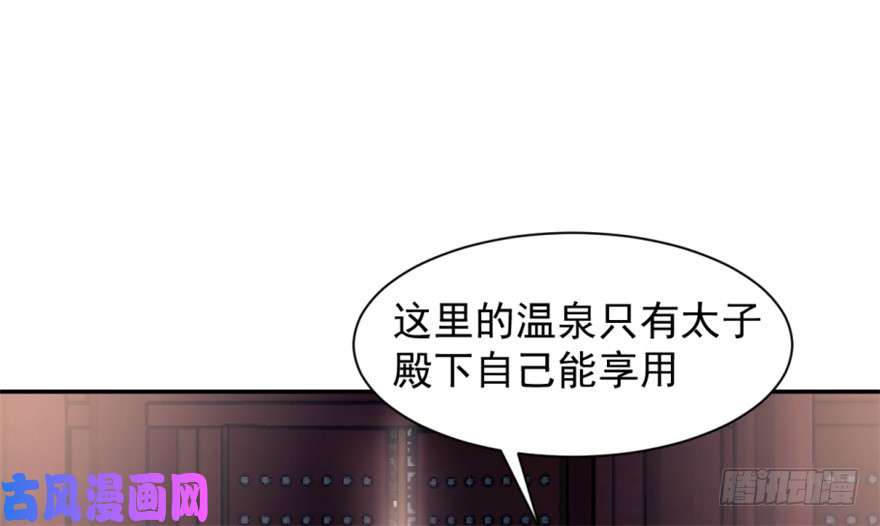 毒步天下：特工神医小兽妃15