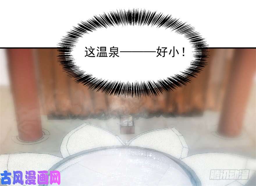 毒步天下：特工神医小兽妃15