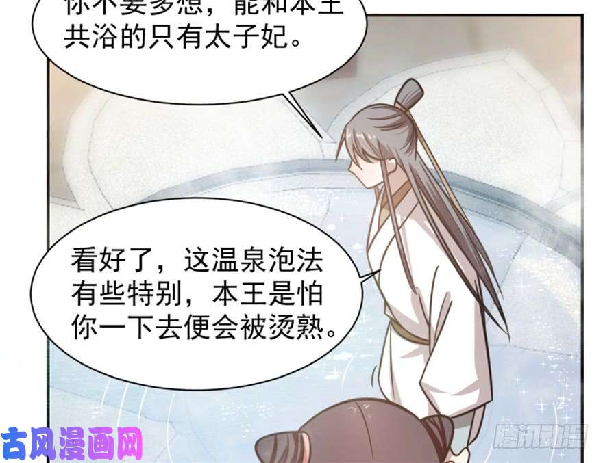 毒步天下：特工神医小兽妃15