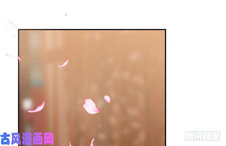 毒步天下：特工神医小兽妃16