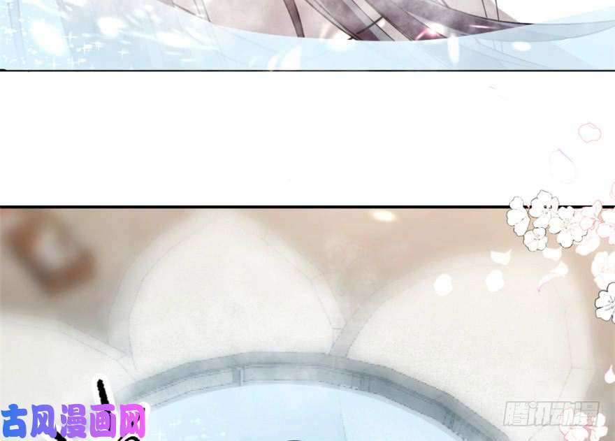 毒步天下：特工神医小兽妃16