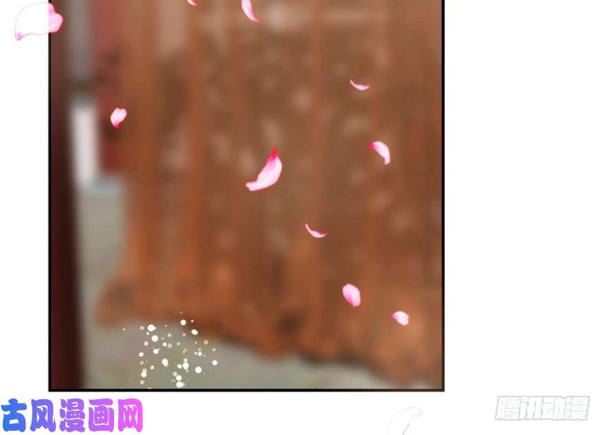 毒步天下：特工神医小兽妃16