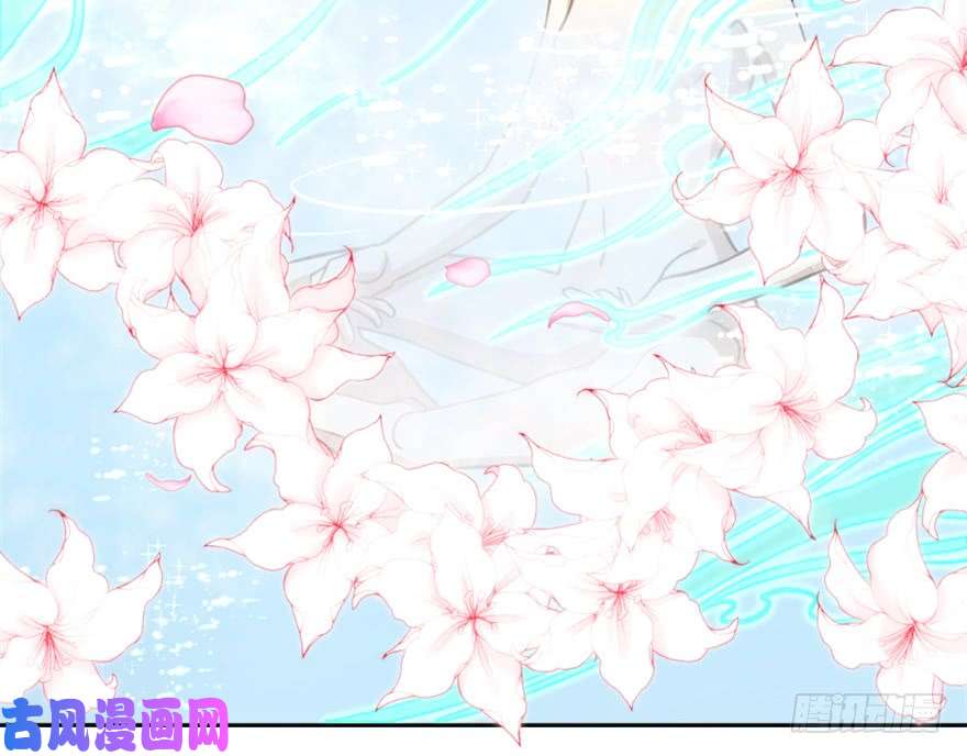 毒步天下：特工神医小兽妃16