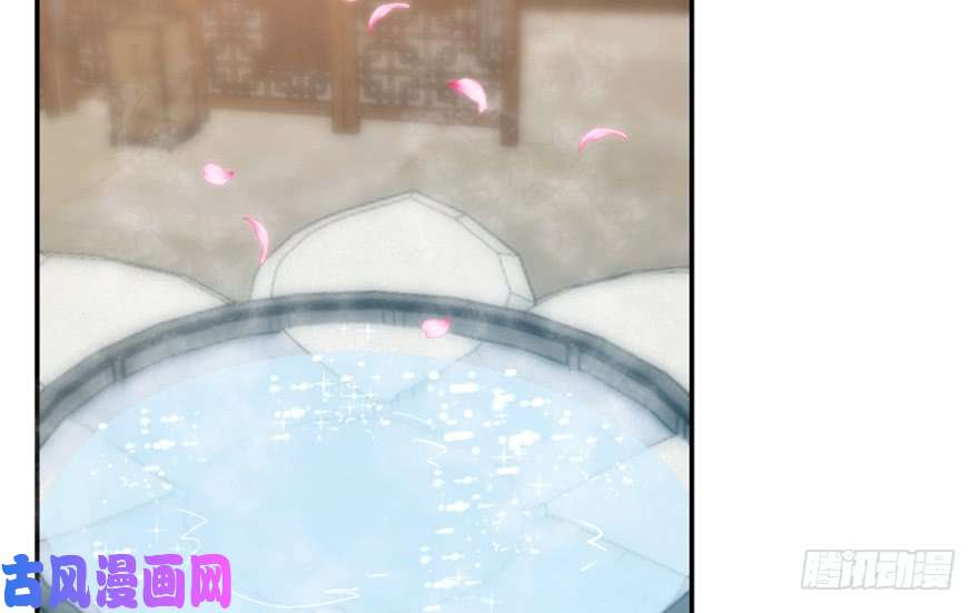 毒步天下：特工神医小兽妃16