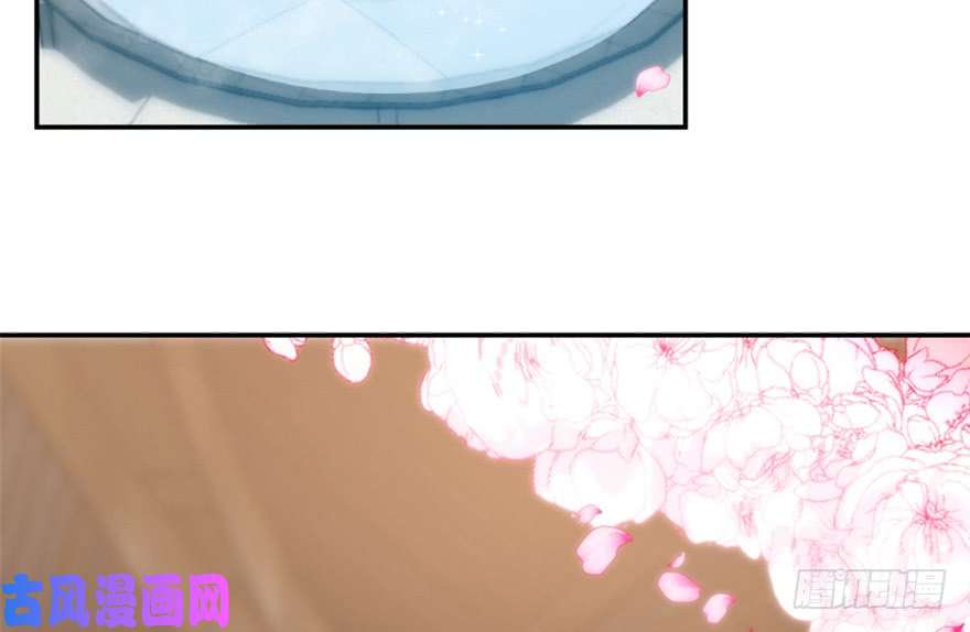 毒步天下：特工神医小兽妃16