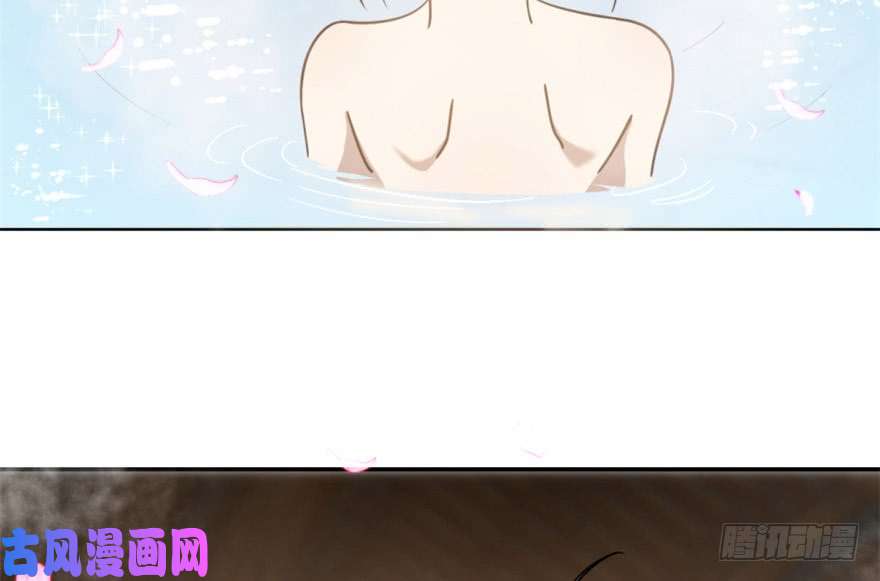 毒步天下：特工神医小兽妃16