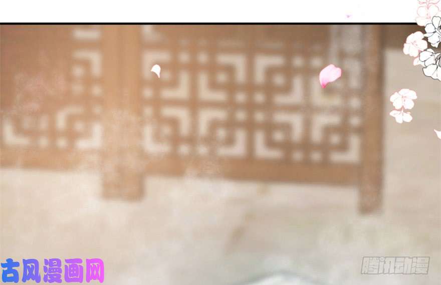 毒步天下：特工神医小兽妃16