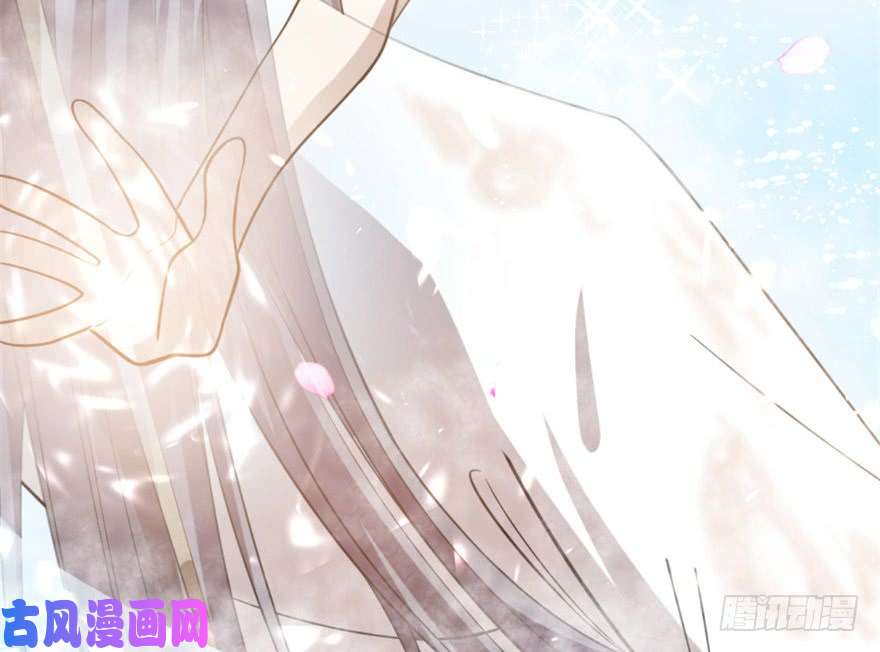 毒步天下：特工神医小兽妃16