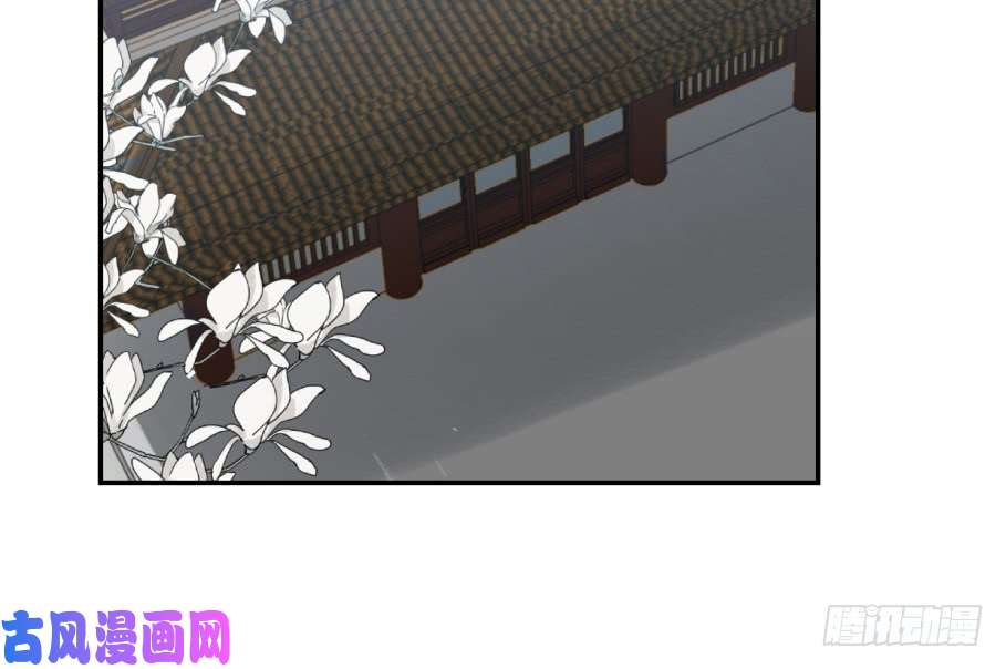 毒步天下：特工神医小兽妃17