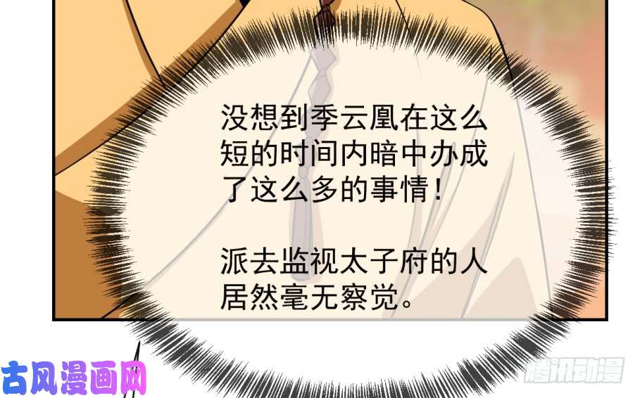 毒步天下：特工神医小兽妃17