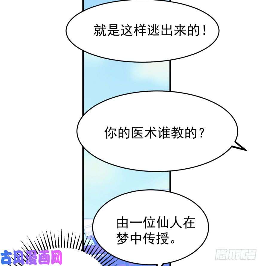 毒步天下：特工神医小兽妃19