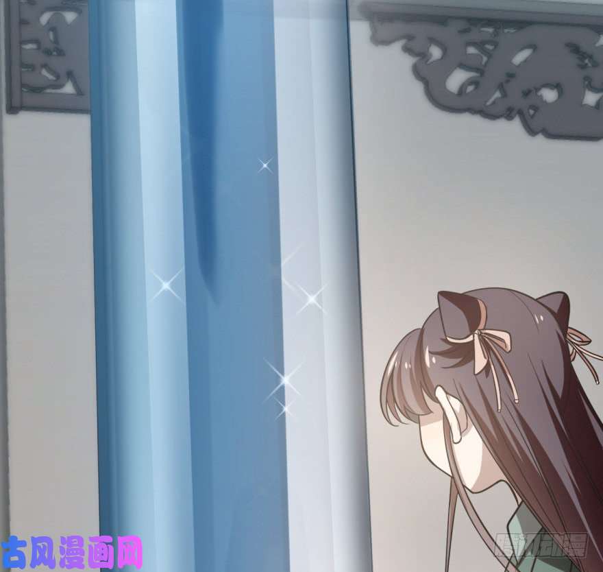 毒步天下：特工神医小兽妃19