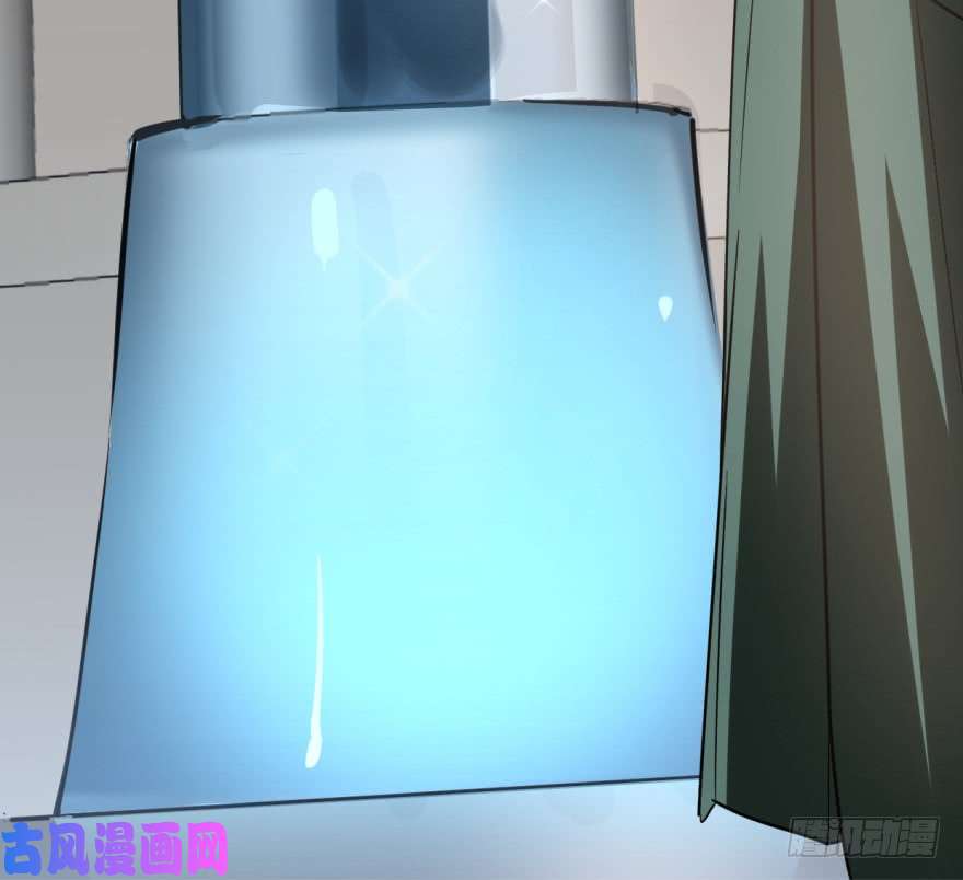 毒步天下：特工神医小兽妃19