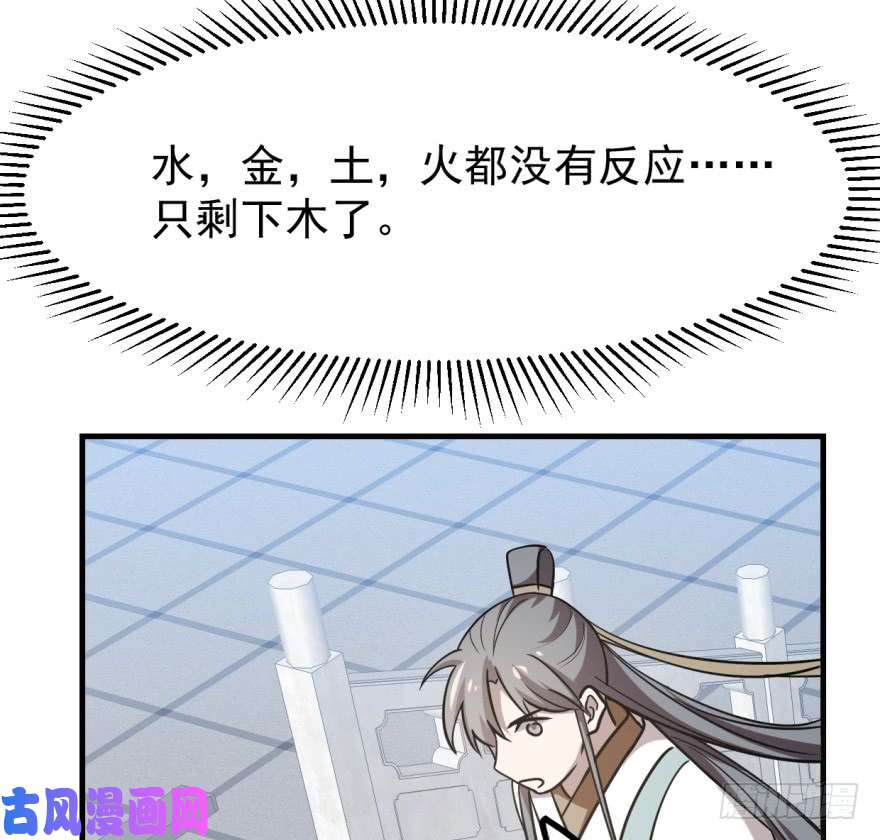 毒步天下：特工神医小兽妃19