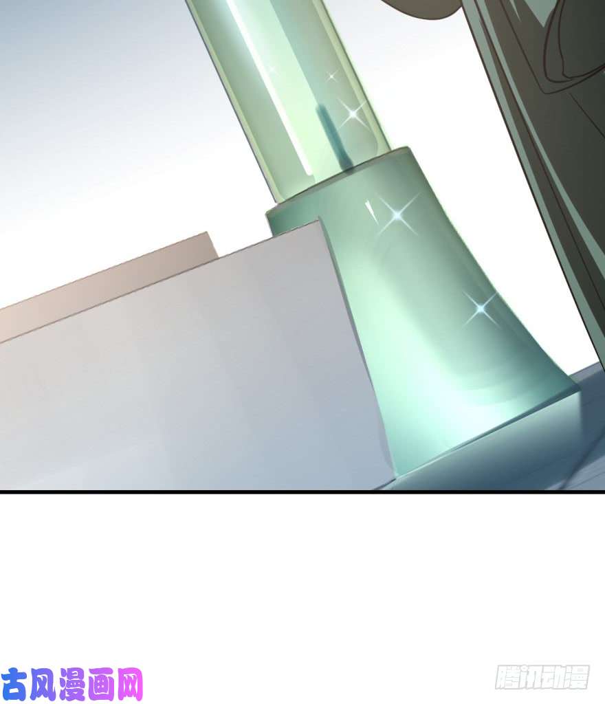 毒步天下：特工神医小兽妃19