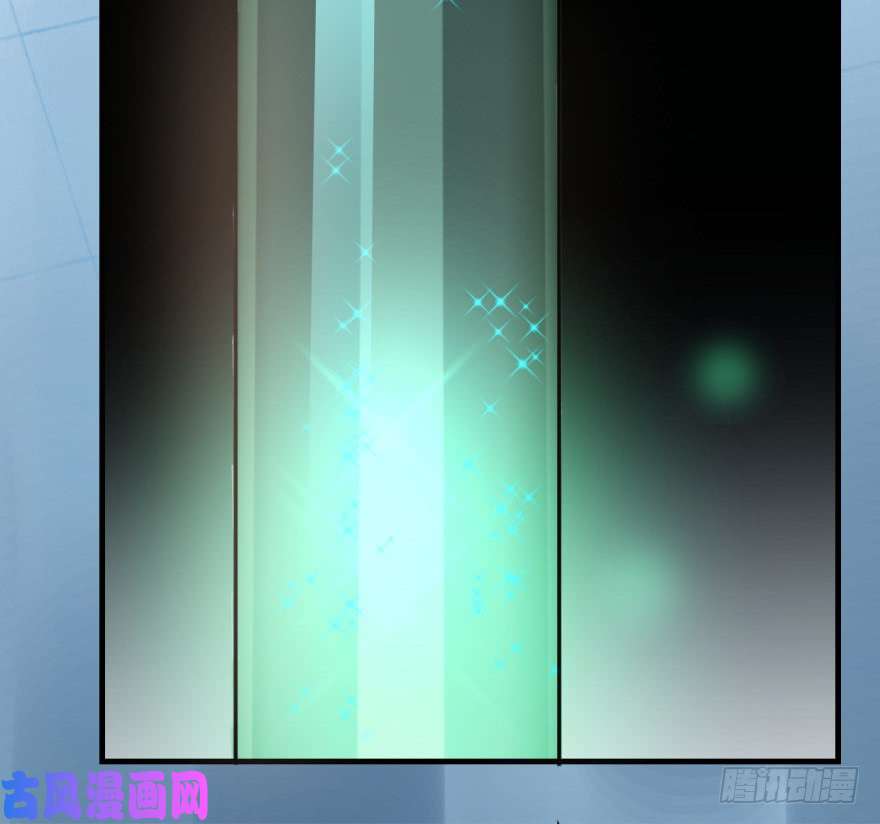 毒步天下：特工神医小兽妃19