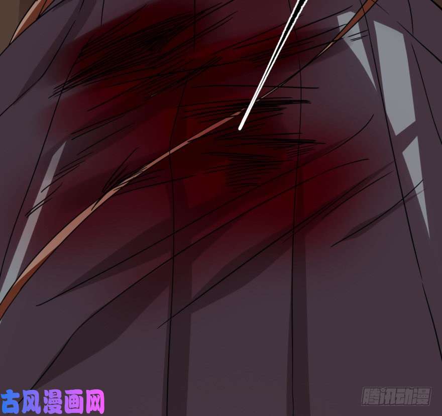 毒步天下：特工神医小兽妃19