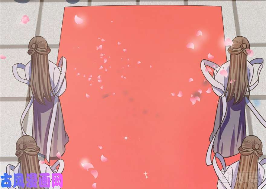 毒步天下：特工神医小兽妃20