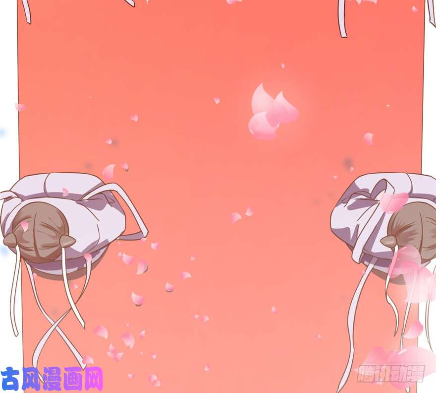 毒步天下：特工神医小兽妃20