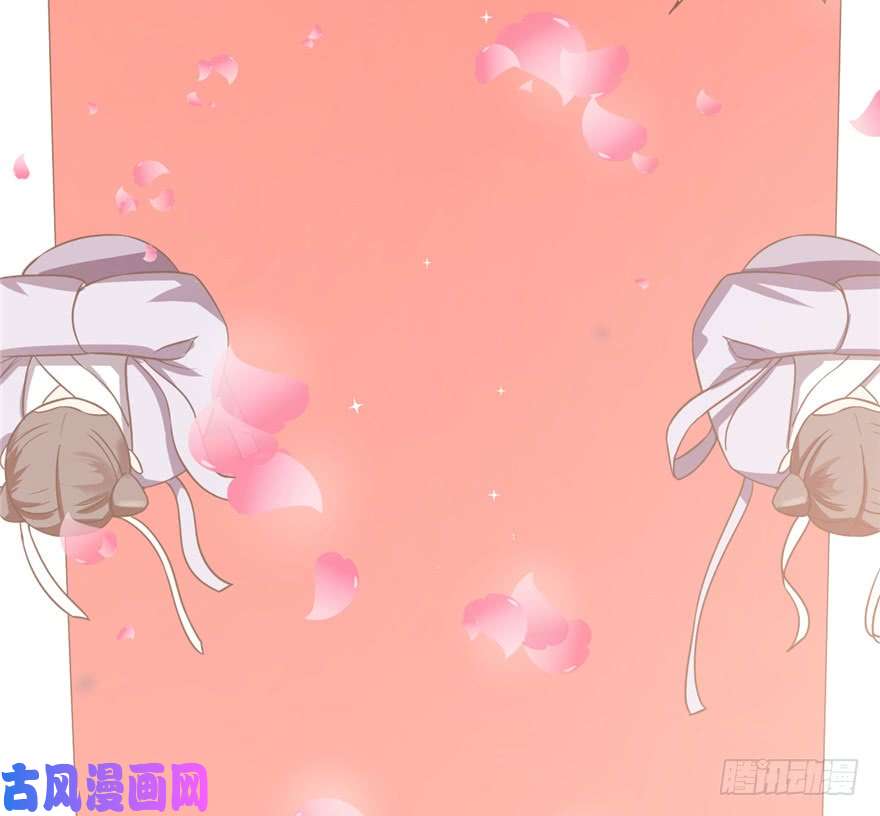 毒步天下：特工神医小兽妃20