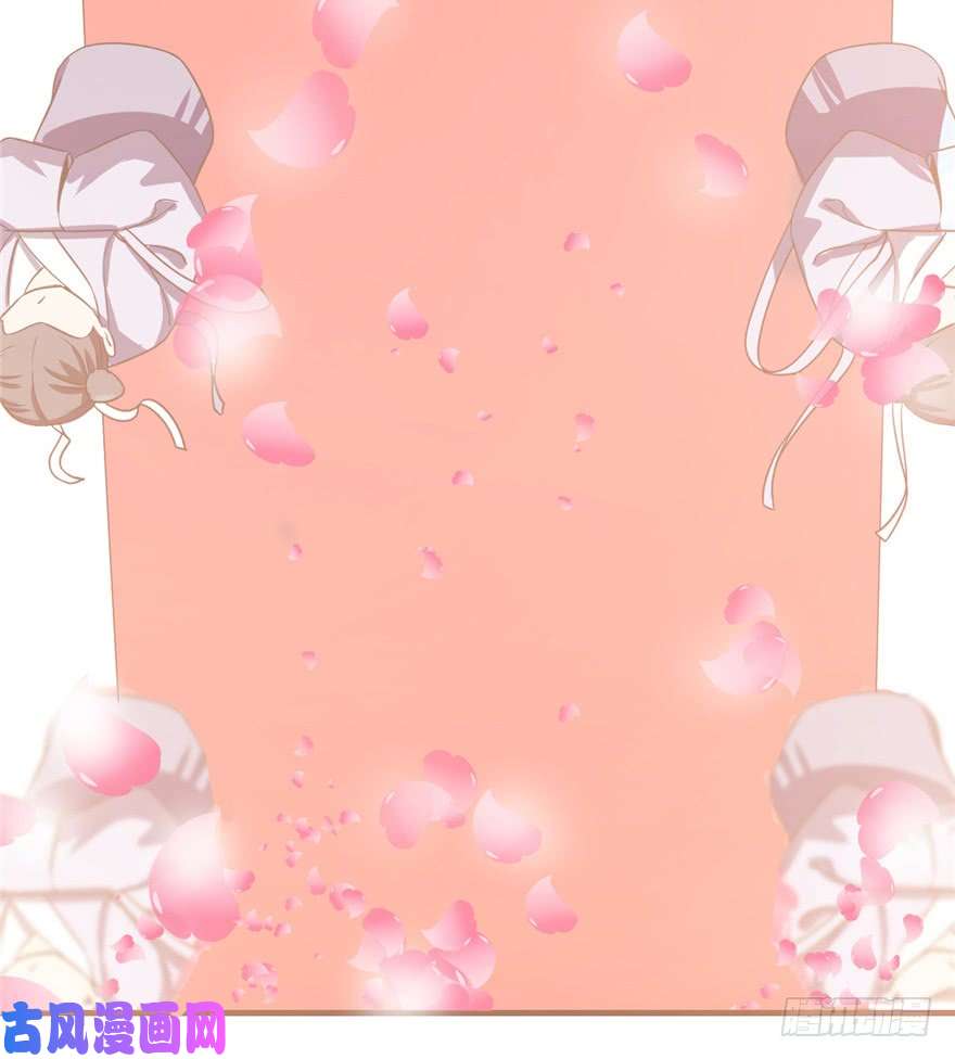 毒步天下：特工神医小兽妃20