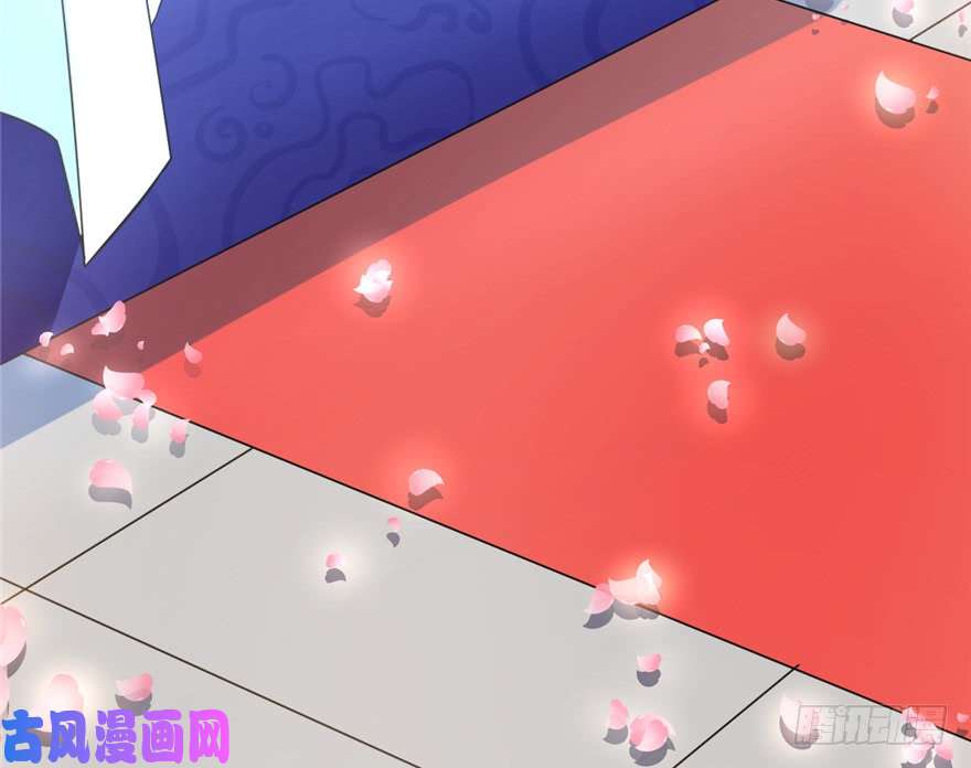 毒步天下：特工神医小兽妃20