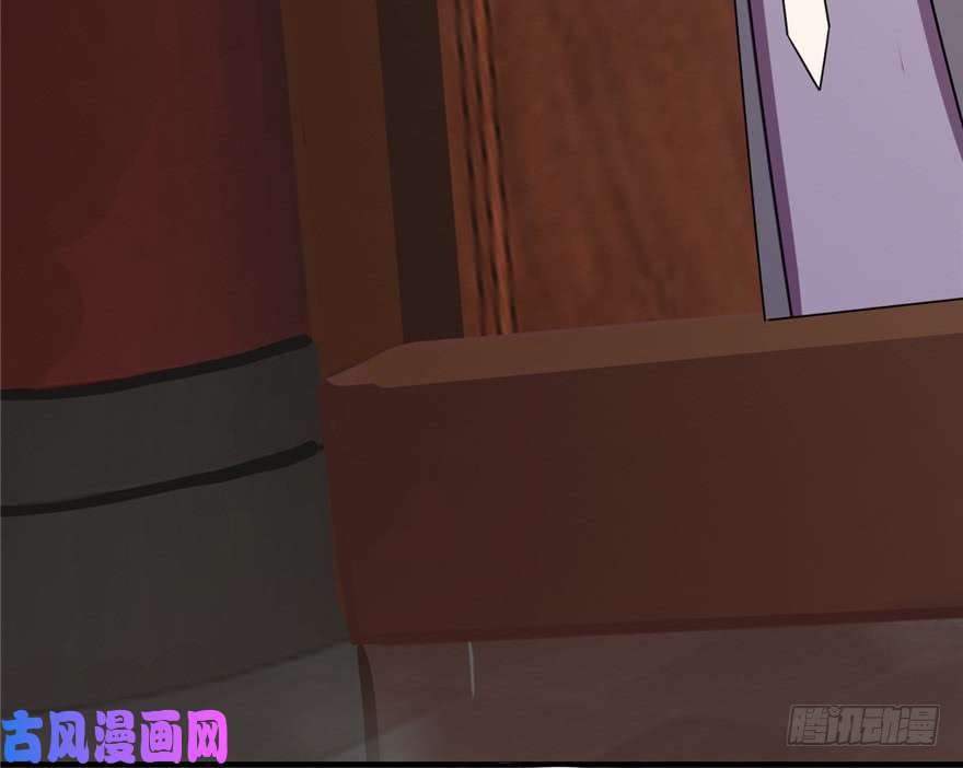 毒步天下：特工神医小兽妃20