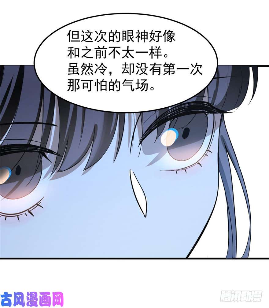 毒步天下：特工神医小兽妃20