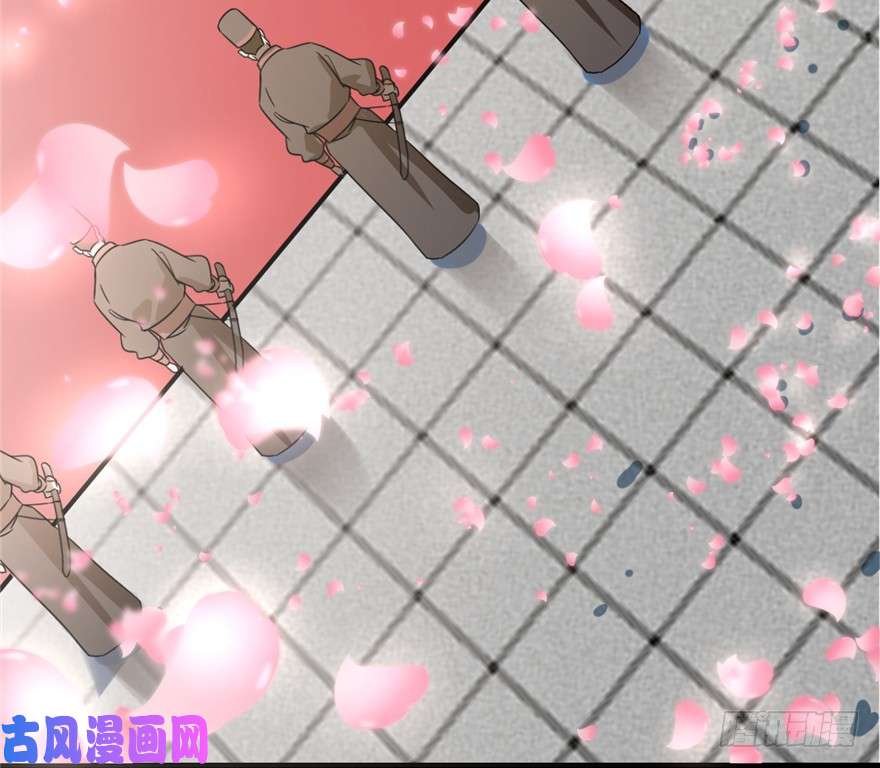 毒步天下：特工神医小兽妃20