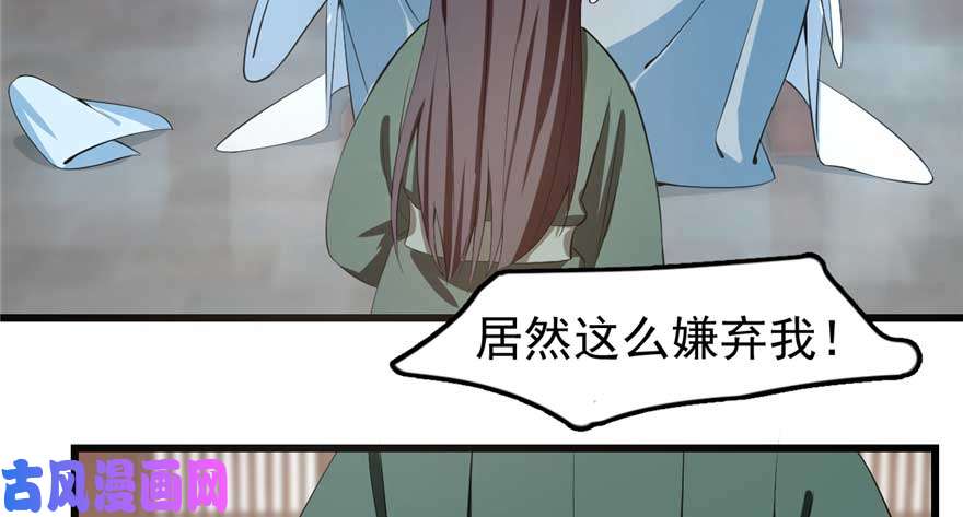 毒步天下：特工神医小兽妃21
