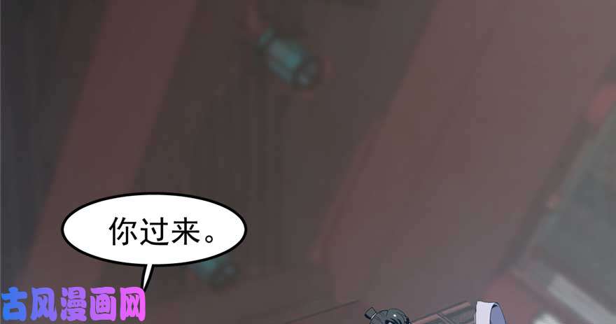 毒步天下：特工神医小兽妃21