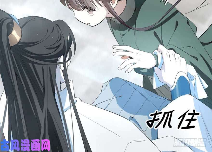 毒步天下：特工神医小兽妃21