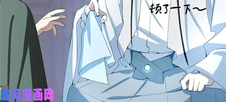 毒步天下：特工神医小兽妃21