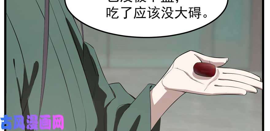 毒步天下：特工神医小兽妃21