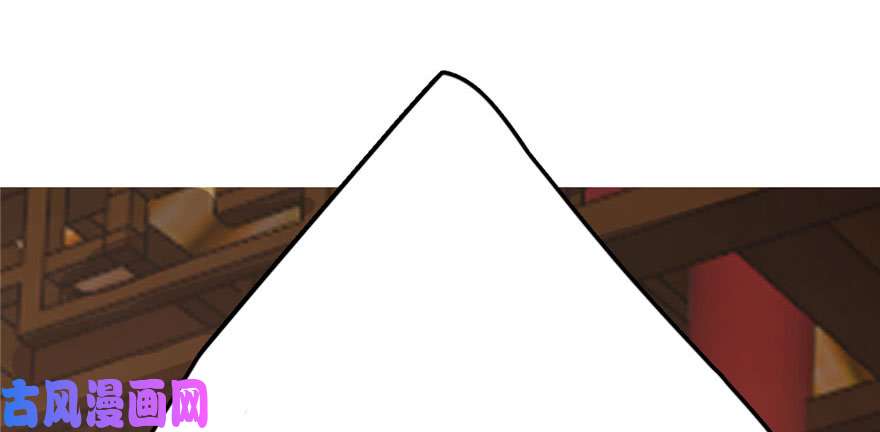 毒步天下：特工神医小兽妃22